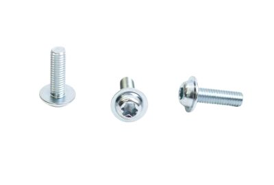 Linsenkopfschraube mit Torx